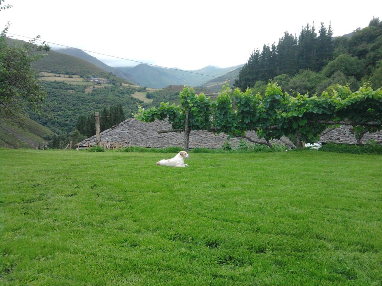Apartamentos El Valledor Tremado Buitenkant foto